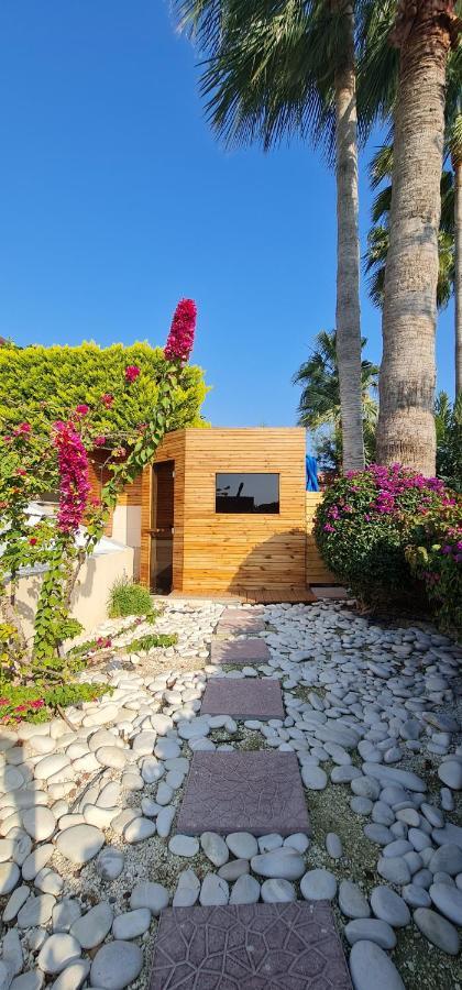 Villa Del Mar Mazotos Exterior foto